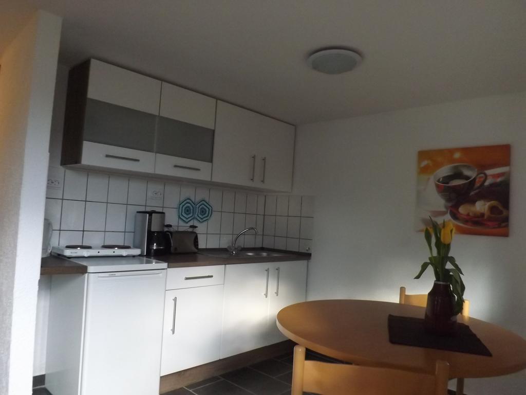 Wehlener Landhaus In Stadt Wehlen, Saechsische Schweiz Cameră foto
